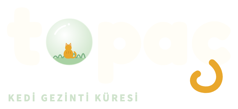 Topaç